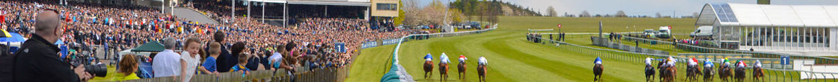 Rowley Mile 1.jpg