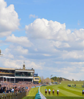 Rowley Mile 1.jpg