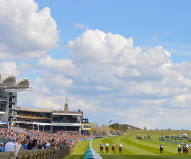 Rowley Mile 1.jpg