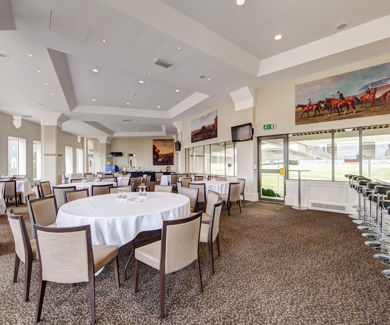 Guineas Suite